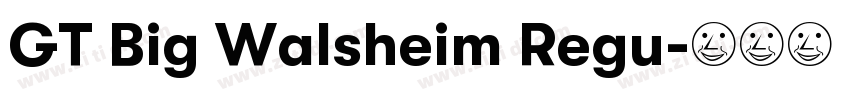 GT Big Walsheim Regu字体转换